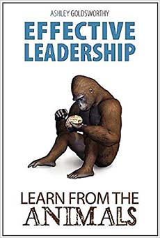 Book by Ashley Goldsworthy: Effective Leadership